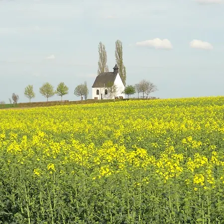 Vogt Διαμέρισμα
